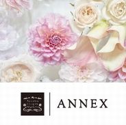ANNEX